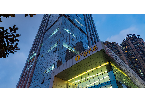 金平果国际商务大厦
